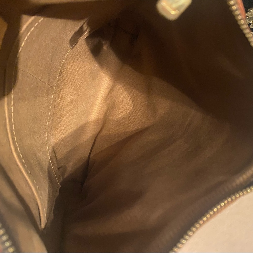 Louis Vuitton  Odeon Monogram Canvas Crossbody Bag - Picture 11 of 16